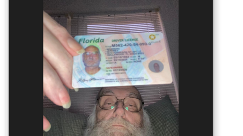 USA REAL DL IN FLORIDA of Male