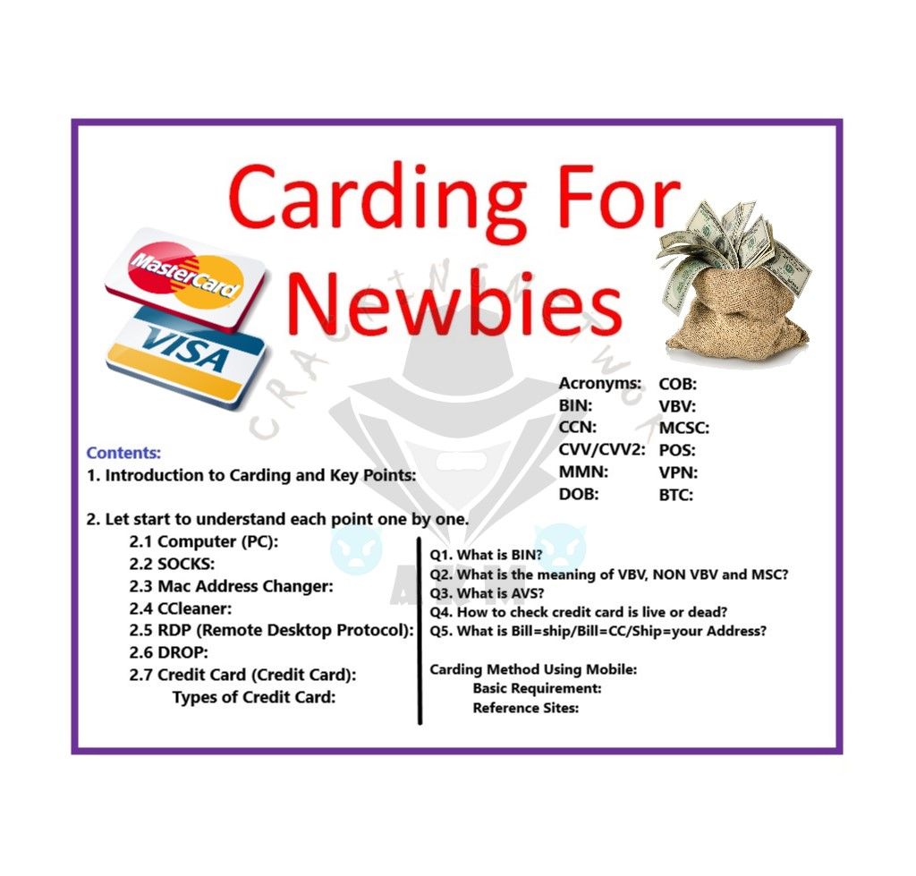 Carding for newbies 1