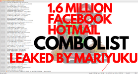 1.6 MILLION FACEBOOK HOTMAIL 1.png