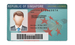 Singapore-front-1.png