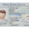 New York Driver License PSD Template