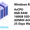 Cheap Admin RDP - 4vCPUs, 8GB RAM, 160GB SSD, Windows 10 @10$  - NeonRDP