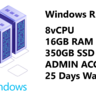 Cheap Admin RDP - 8vCPUs, 16GB RAM, 320GB SSD, Windows 10 @19$ - NeonRDP