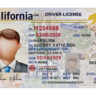 California Driving License PSD Template