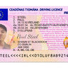 Ireland Driver License PSD Template