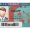 Singapore Driver License PSD Template