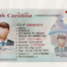 South Carolina Driver License PSD Template High Quality & Fully Editable