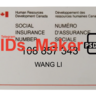 Canada Social Insurance Template PSD High Quality & Fully Editable