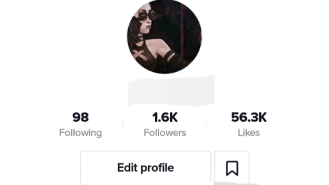 2yr old Tiktok acct with 1.6k followers and 56k likes