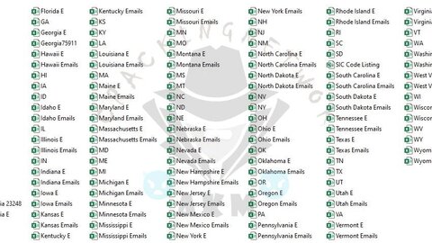 USA Companies Name & Email List, State Wise