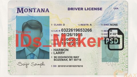 Montana Driver License PSD Template