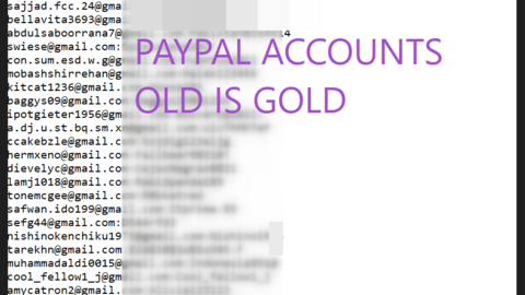⚡⚡100K Gold PAYPAL Accounts Logins Spectacular and Incredible Data⚡⚡