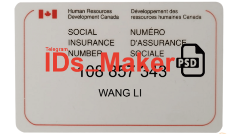 Canada Social Insurance Template PSD High Quality & Fully Editable