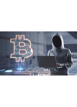 Kripto Clipper V2 |LIFETIME ACCESS|